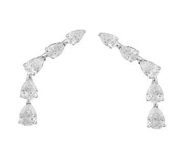EAR14162
