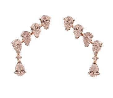 EAR14376